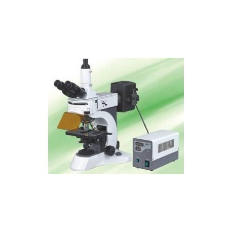 N-800F Microscope à fluorescence