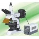 N-800F Microscope à fluorescence