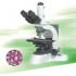 N-800M Microscope biologique de laboratoire